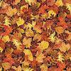 Autumn Forest - Harvest Panel - QT Fabrics