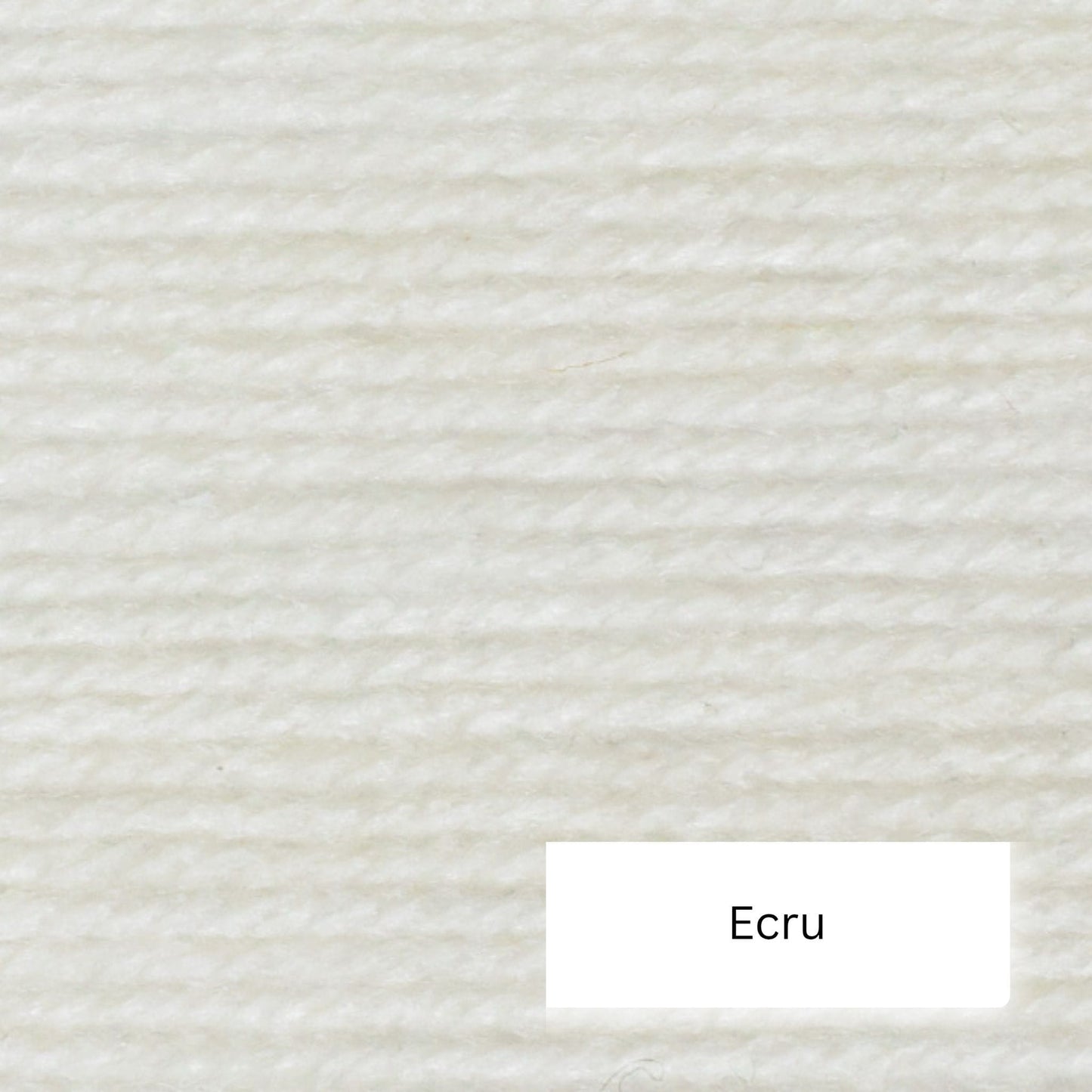 Wendy Aran with wool