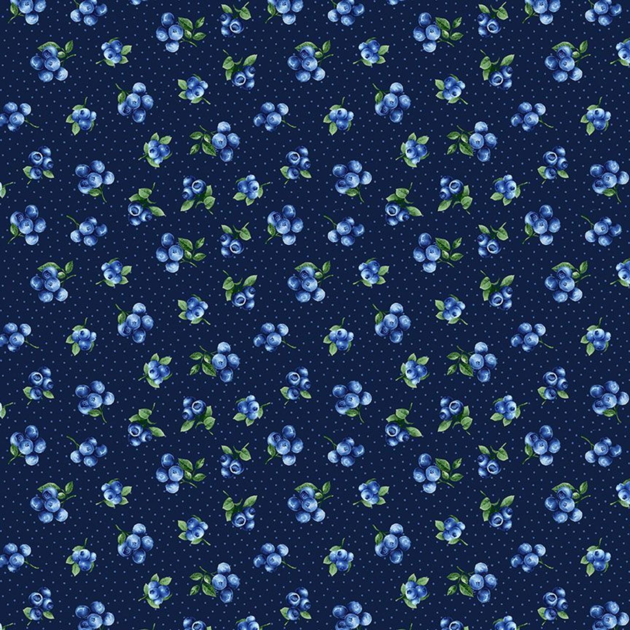 Blueberries on gingham cotton fabric - Blueberry Delight - Timeless Treasures