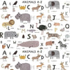 cotton fabric Alphabet Noah's Ark on white - Dear Stella