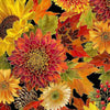 vibrant autumn flowers and leaves on black cotton - Harvest - Timeless Treasures