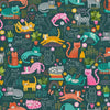Brightly coloured cats relaxing and playing on black cotton fabric - Whiskers - Makower