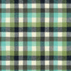 Fabric Green tartan organic flannel - Mammoth Junior - Robert Kaufman - SRKF-21379-34