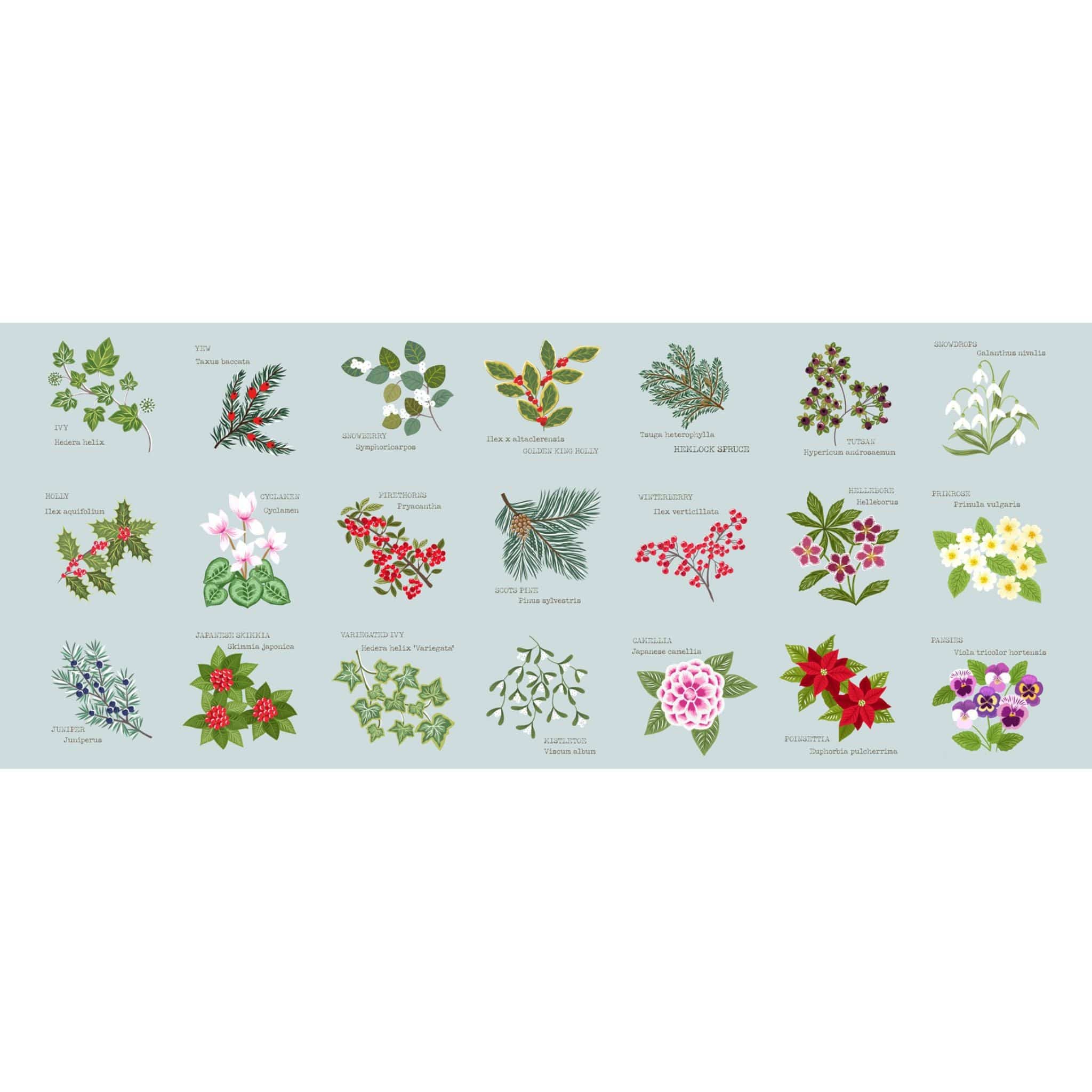 Fabric Holly and ivy on winter blue - Winter Botanical - Lewis & Irene