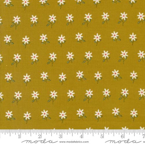 cotton fabric Imaginary Flowers Cloud White - Moda