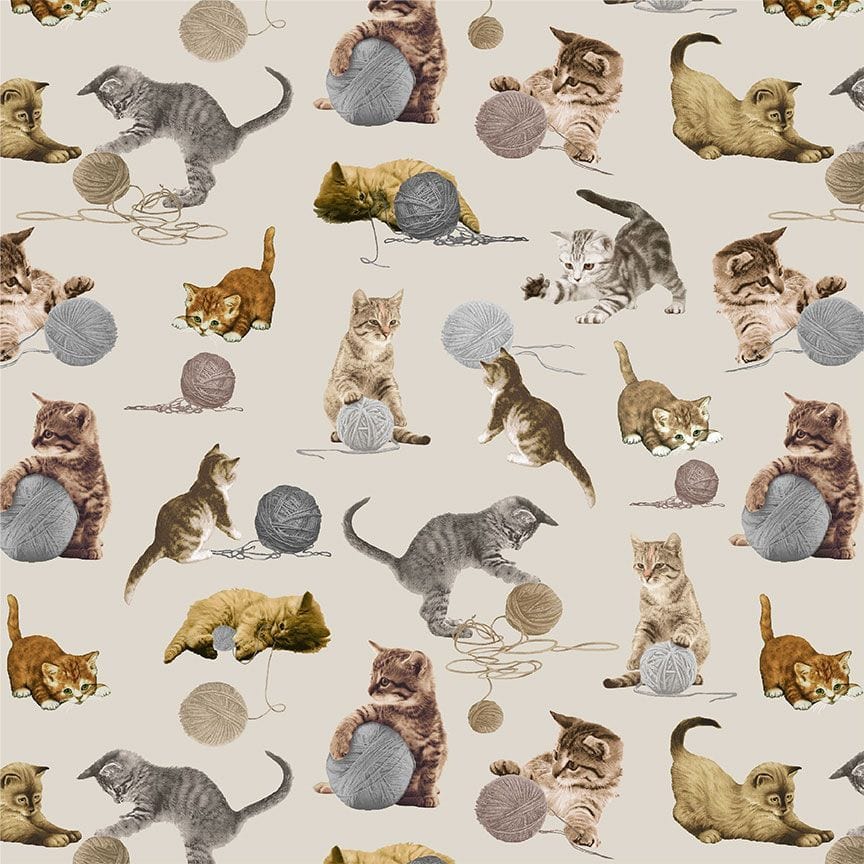 Fabric kittens playing - You had me at Meow - Timeless Treasures