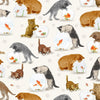 Fabric kittens playing - You had me at Meow - Timeless Treasures