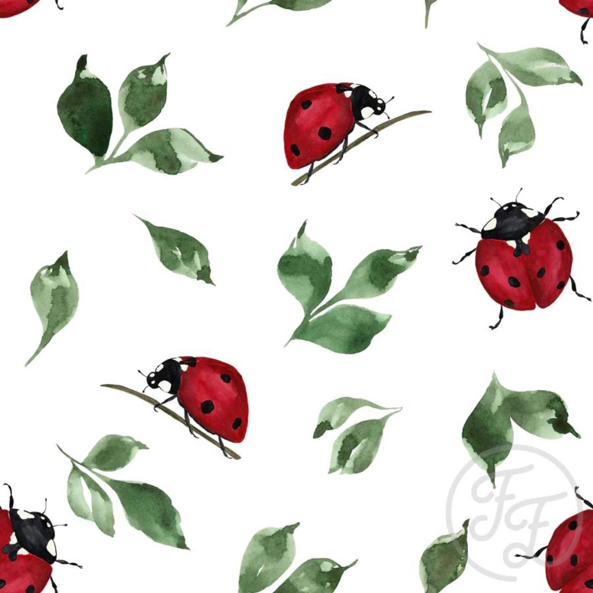 Fabric Ladybird stretch baby jersey-Family Fabrics-105-154