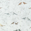 Fabric Leaves and birds on slate grey cotton fabric - 'Songbird' by Robert Kaufman