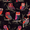 Brightly coloured owls on black cotton - Forest Whispers by Dashwood Studio