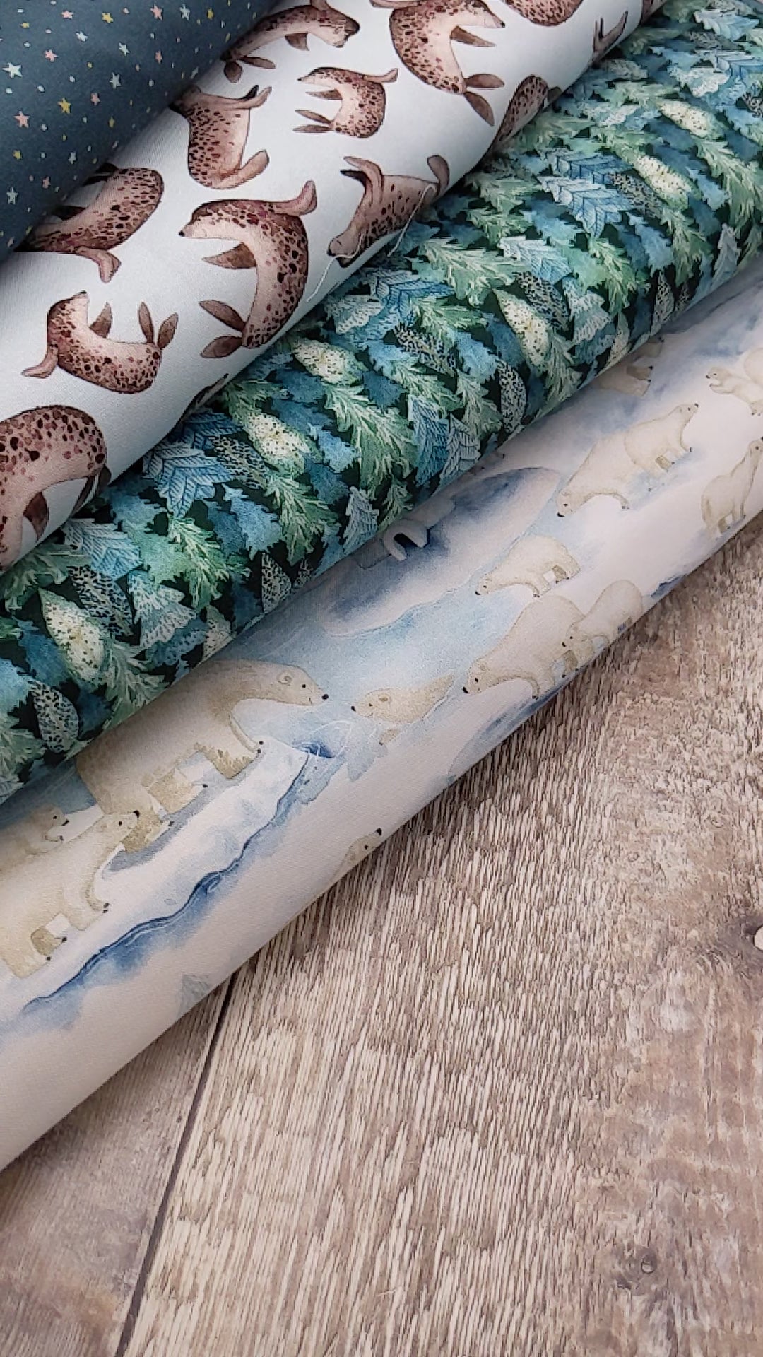 Seals on blue cotton - Nature - Timeless Treasures