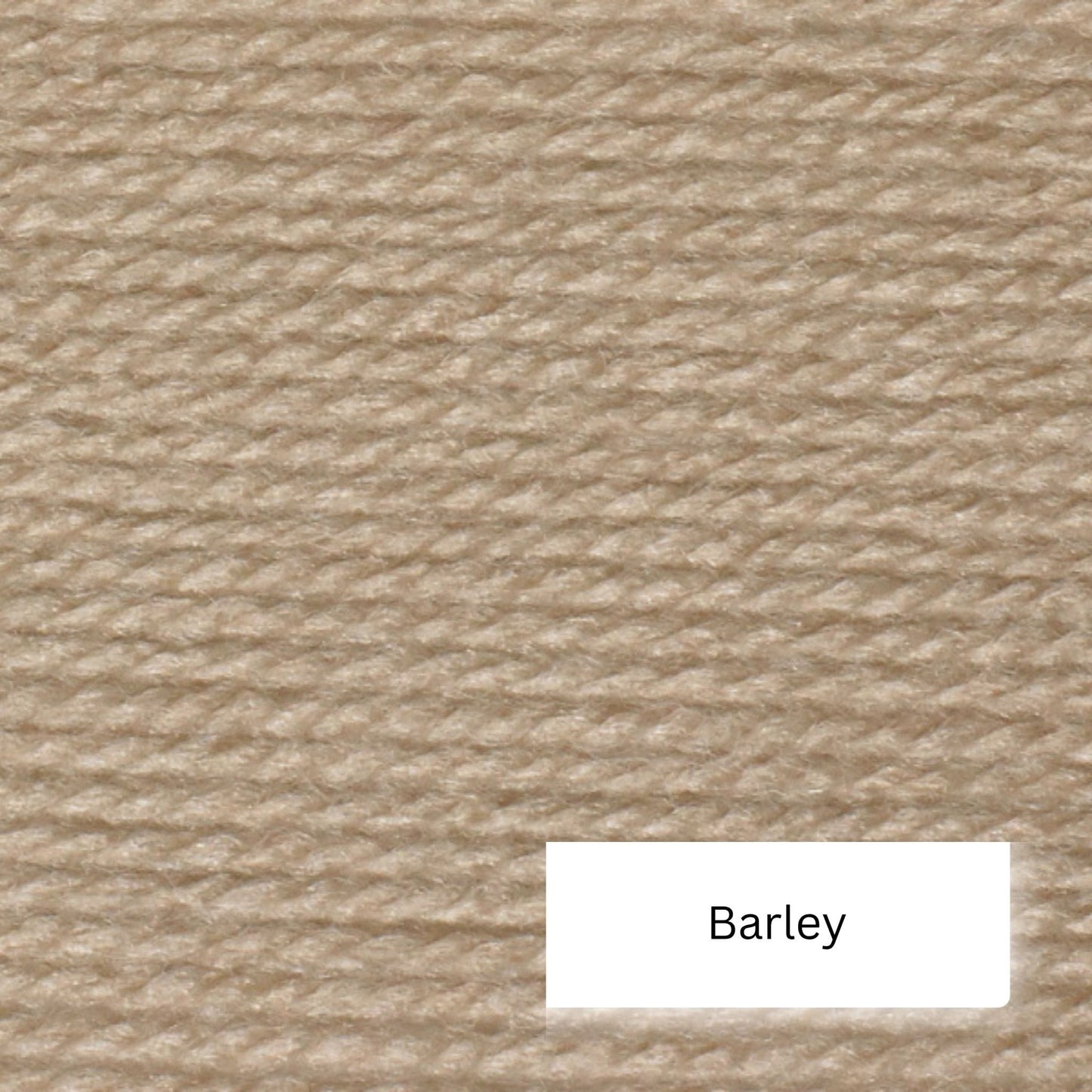 Wendy Aran with wool