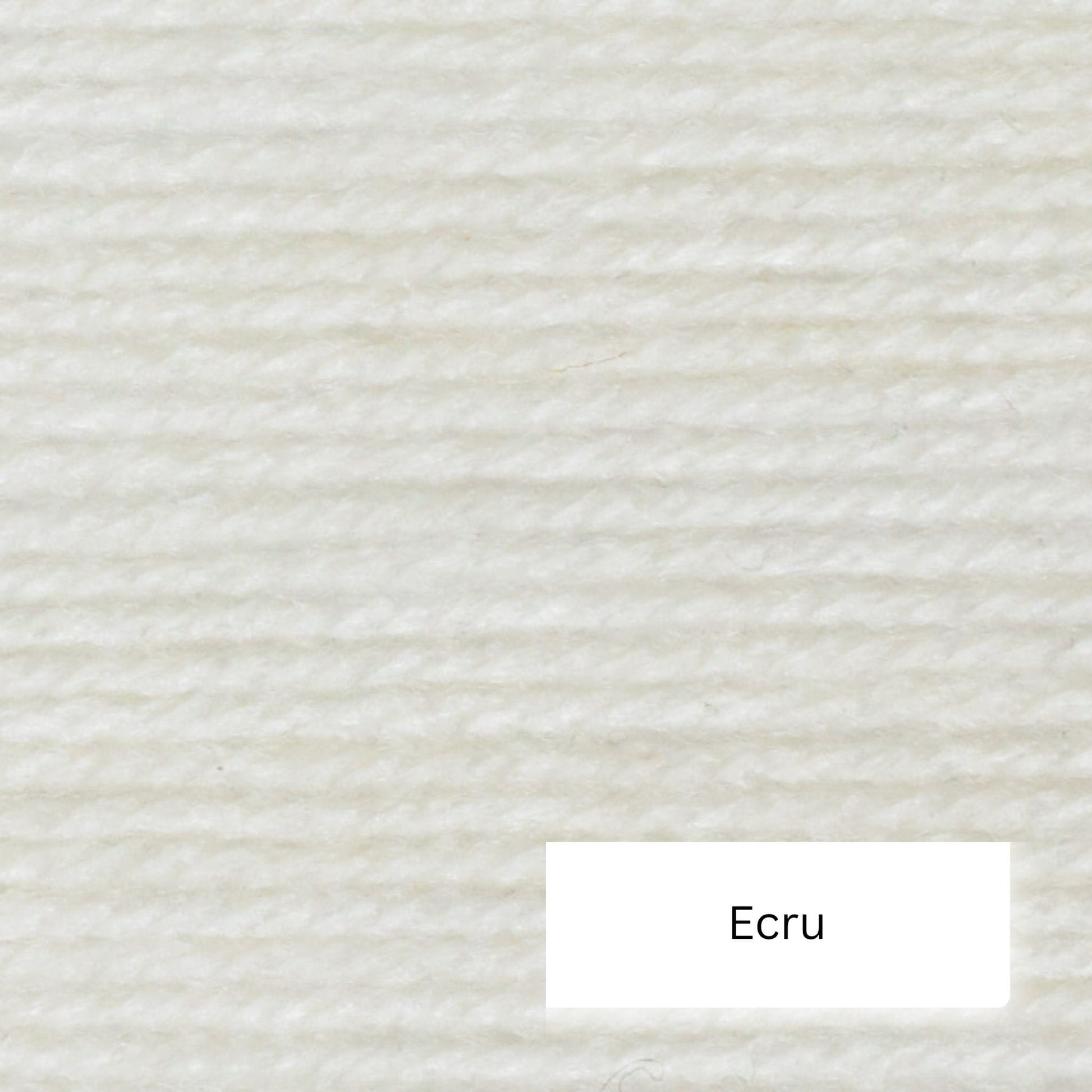Wendy Aran with wool