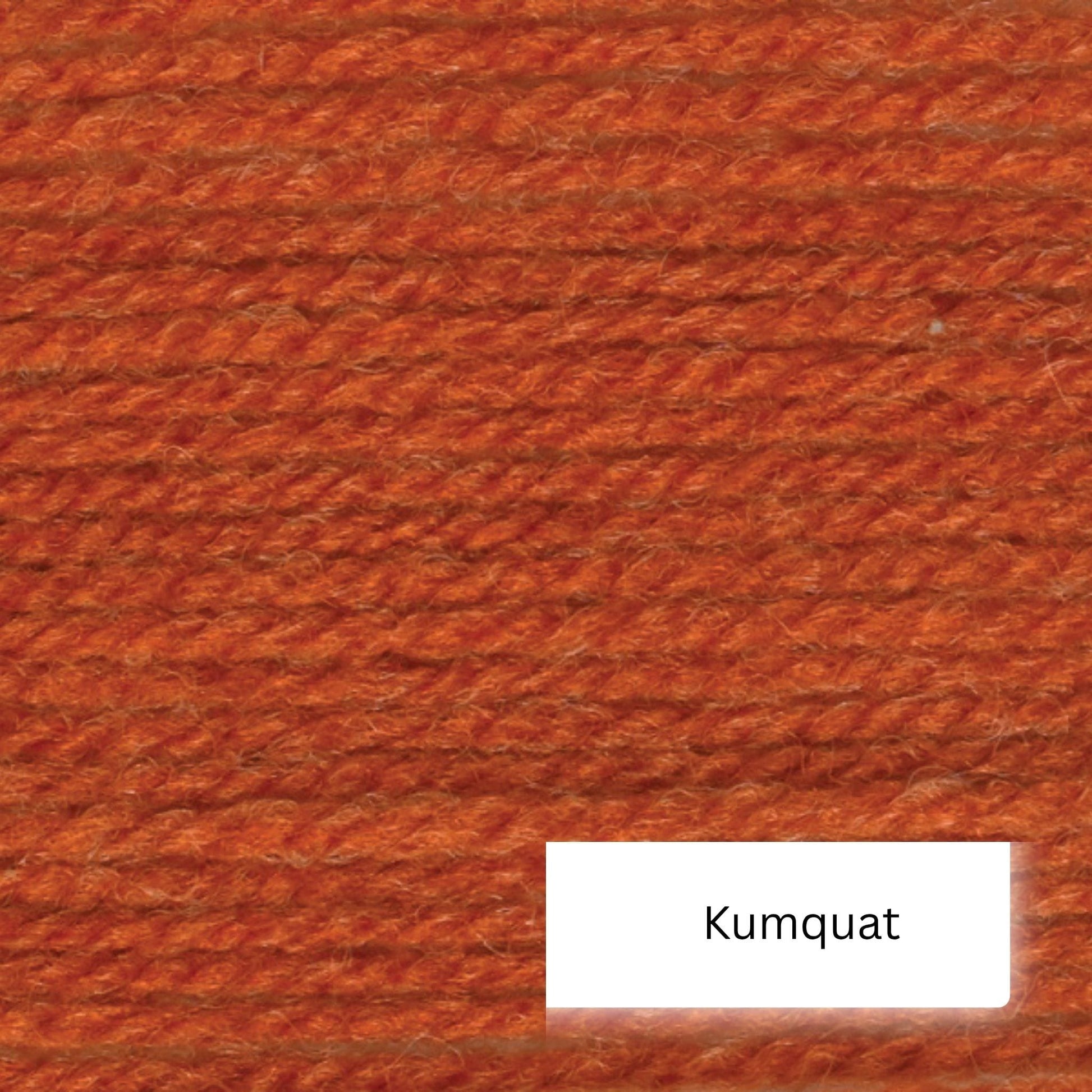 Wendy Aran with wool