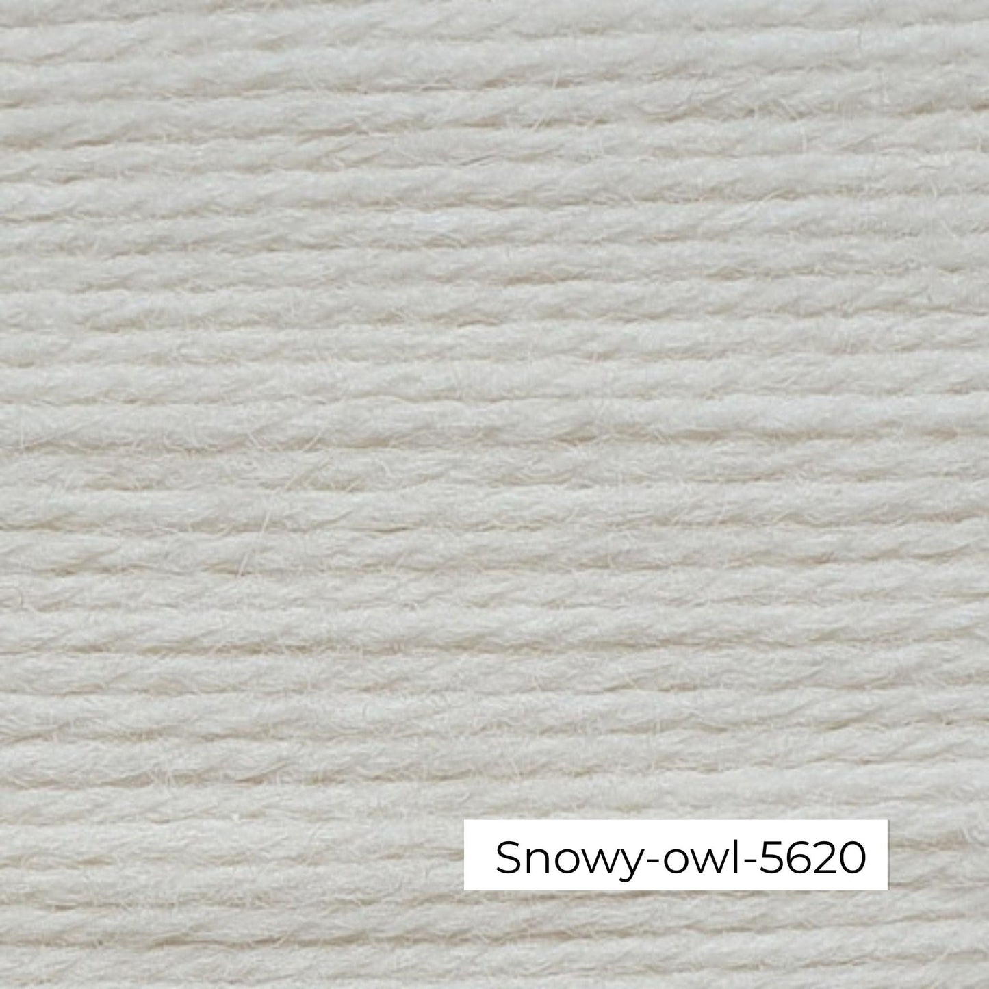 Wendy-pure wool-Aran