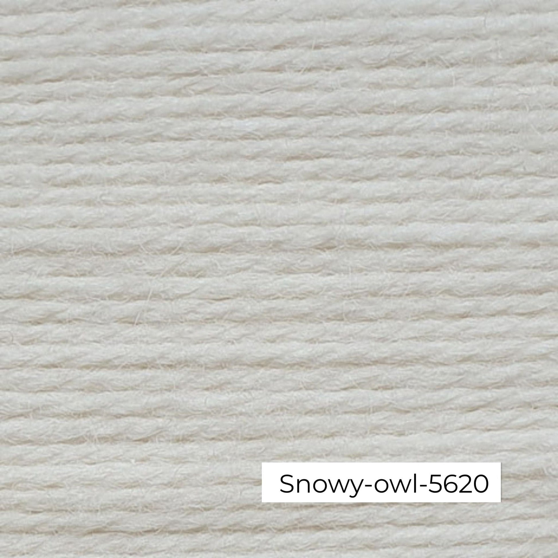 Wendy-pure wool-Aran