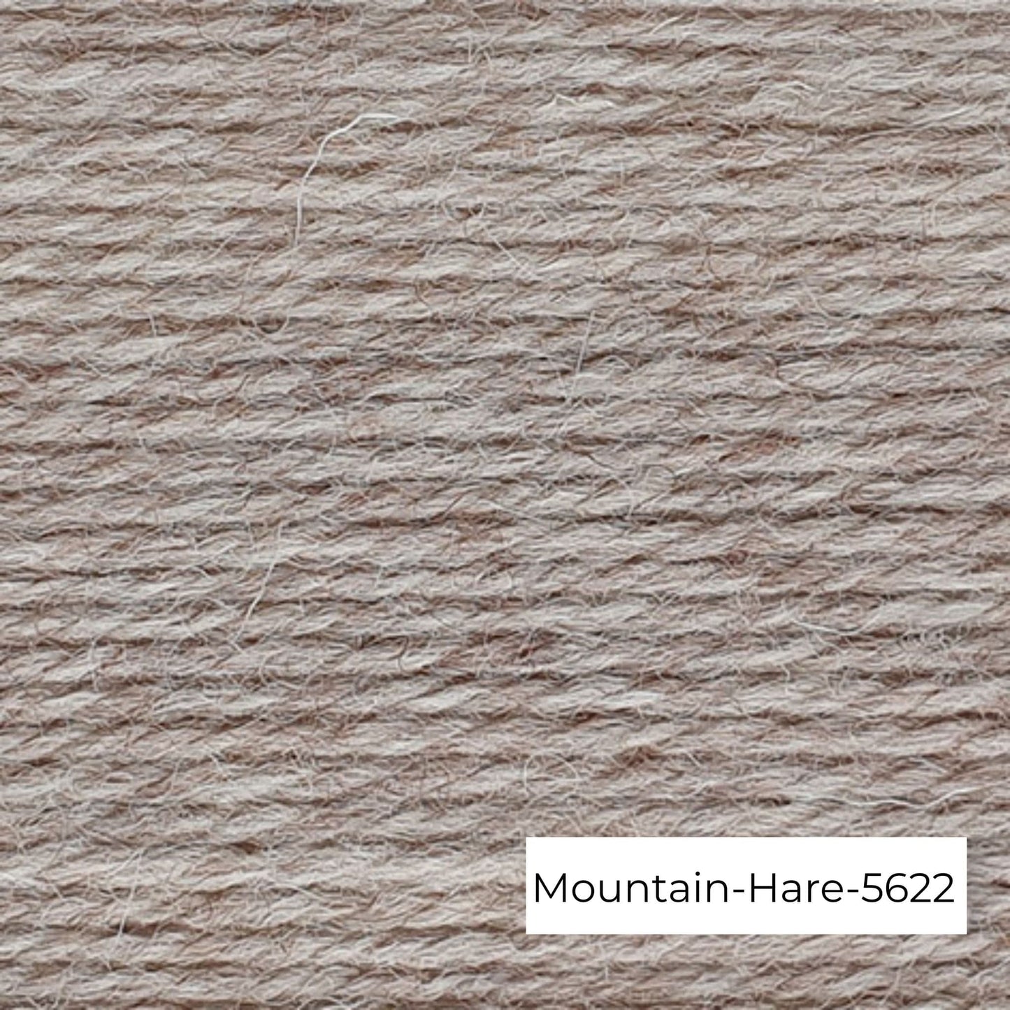 Wendy-pure wool-Aran
