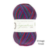 West Yorkshire Spinners Signature Sparkle 4 ply yarn