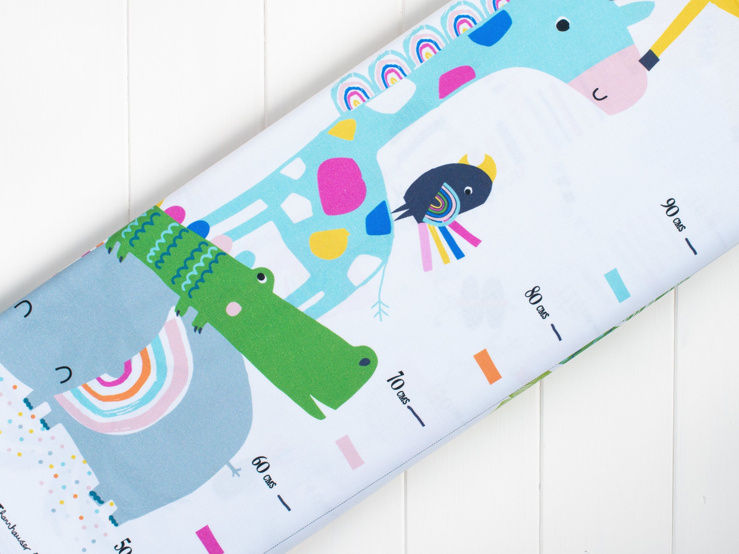 Rainbow friends children's height chart panel - Dashwood Studio