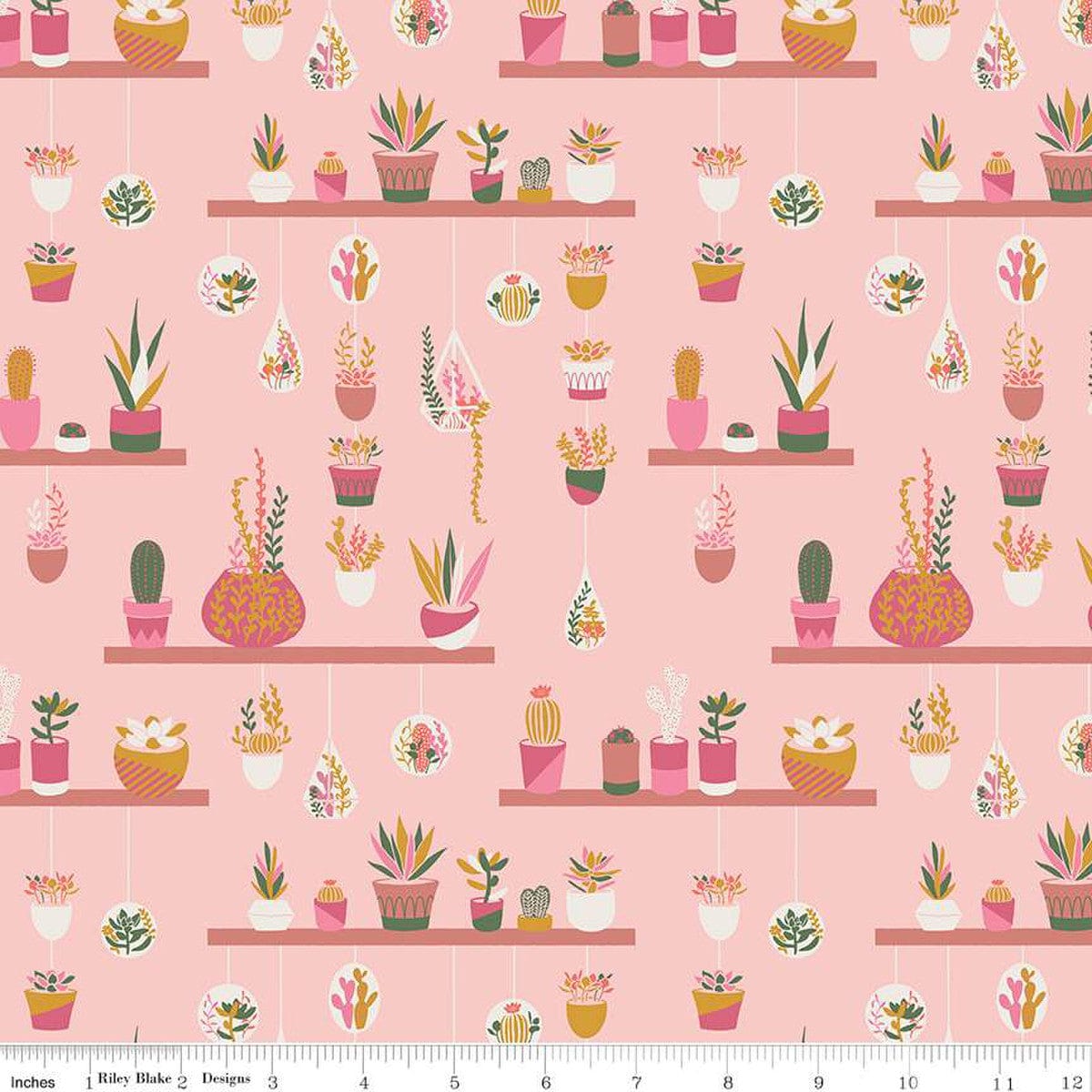 Fabric Succulents and cactus on blue cotton fabric - Arid Oasis - Riley Blake