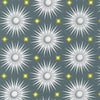 Fabric Suns and stars on dark grey cotton fabric - Planetarium by Robert Kaufman